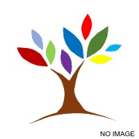 A & T Tree Services Ltd